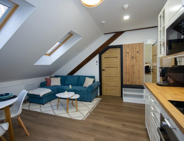 III-spirit-apartman-gyulan-3
