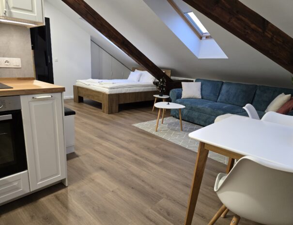 V-os-apartman-gyula-spirit-6