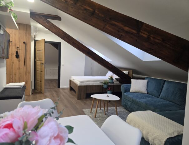 V-ös számú apartman Gyulán a Spirit apartmanban